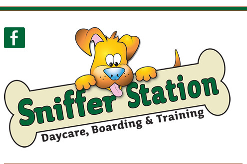 Sniffer Station: Pet daycare, boarding, and training services.